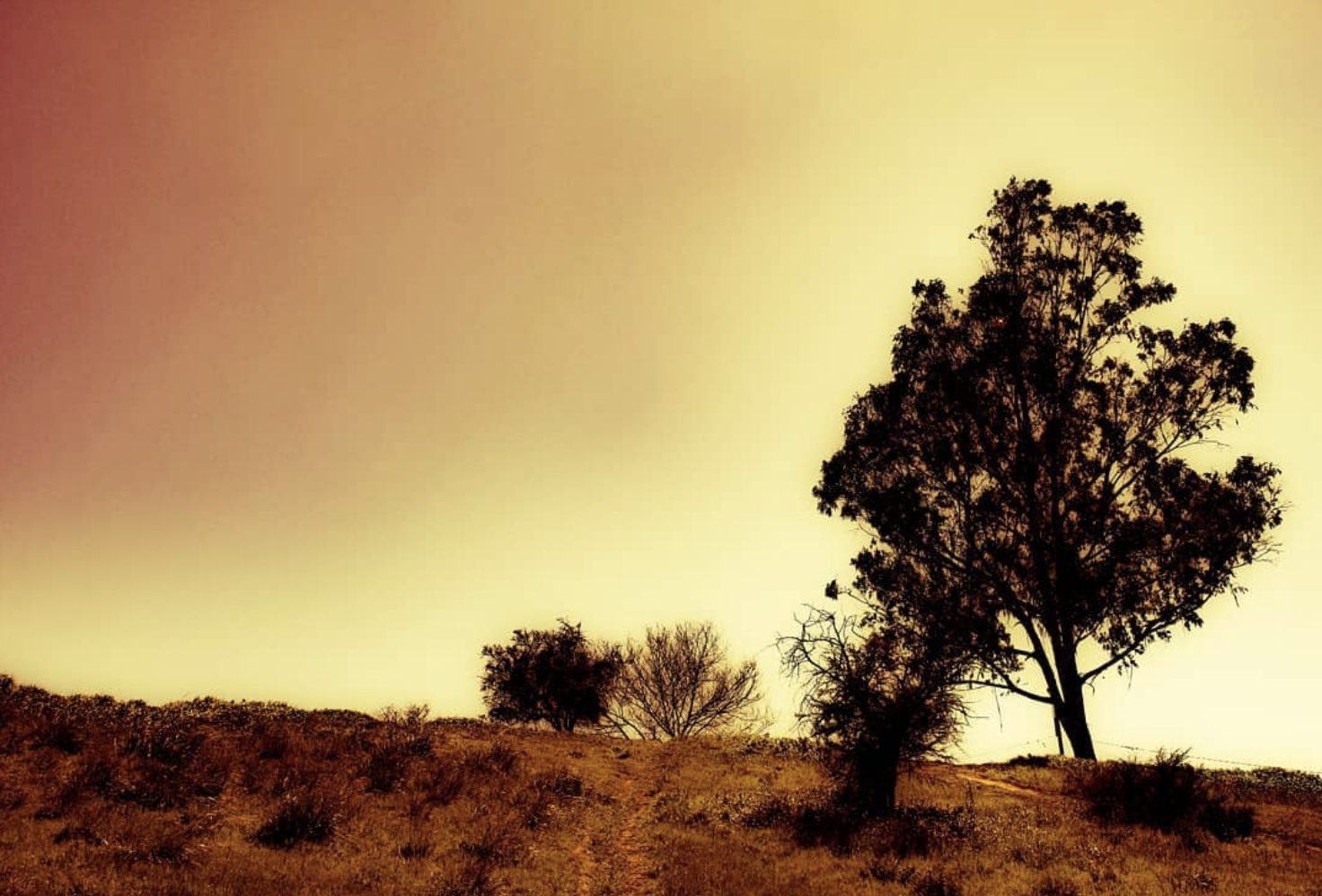 cerro